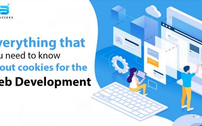 web development
